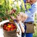 Hiking Outdoor Foraging Fruit Picking Waist-hanging Tool Bag, Jungle PU Leather Storage Bag_desvips.com