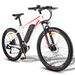Fafrees F28 MT 250W 27.5" Electric Mountain Bike 522Wh_desvips.com