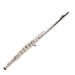 16 Hole E-key C Key Nickel Plated Closed Cell Western C-tail Silver Copper Flute Instrument Learning To Play_desvips.com