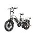 JOBOBIKE Transer Electric Cargo Bike For Family, Dual Battery LG 48V 15Ah 1440Wh_desvips.com