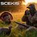 Best Realistic Strut Sounds For Turkey Hunting_desvips.com