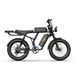 URLIFE T2 Off Road Electric Bike 250W Motor 48V 15.6Ah Battery_desvips.com