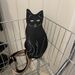 Daily Collocation Cat Cute Women's Chest Version Ins Style Simple Printed Single Shoulder Crossbody Bag_desvips.com