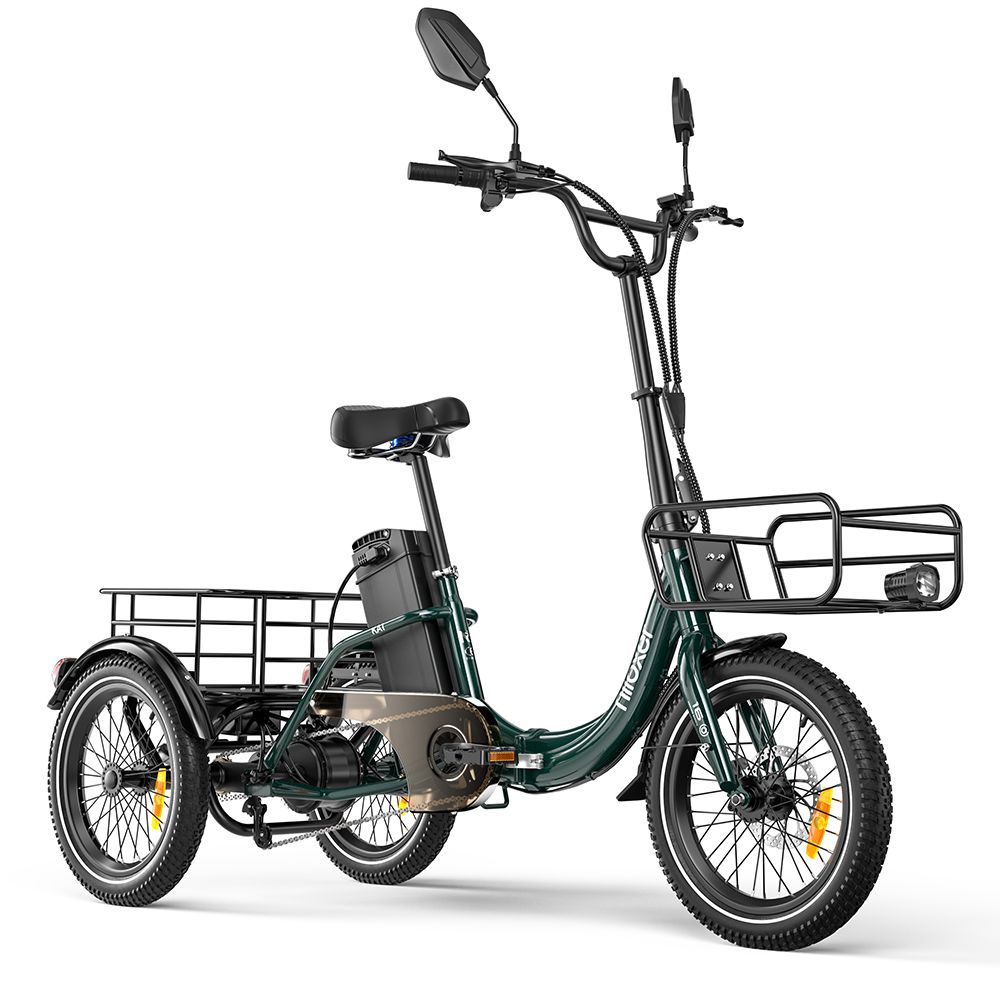 Niloxer KA1 Electric Cargo Tricycle With 48V 23Ah Battery And Rear Mirrors_desvips.com