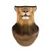 Cycling Face Mask Cycling Sunscreen Mask Orange Cat Summer Funny Veil Animal Face Towel Cat Ear Hanging Integrated Protective Mask Neck Guard_desvips.com