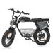 Hidoes HD-B9 Electric Dirt Bike, 48V 33.8Ah Dual Battery, 20"x4.0" All-Terrain Tires_desvips.com