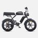 ENGWE M1 E-Mountain Bike 48V 250W Dual Suspensions Hydraulic Brakes 20"×4.0 Fat Tires Off-road Electric Bicycle_desvips.com