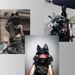 HNJ Electric Motorcycle Cat Ears Helmet Women's Four Seasons Full Helmet Men's Knight Motorcycle Cute Rabbit Ears_desvips.com