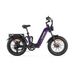 CYRUSHER Kommoda 3.0 20" Electric Cargo Bike 250W Motor 48V 20Ah Battery_desvips.com