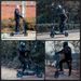 IScooter IX4 Off-road Electric Scooter 48V 15Ah Battery 800W Motor 45km Range 10 Inch Tires Dual Suspension Adult E-scooter_desvips.com