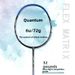 Guangyu Quantum 6U Lightweight Genuine Adult Special Badminton Full Carbon Household Entertainment Single Racket_desvips.com