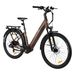 TTGO Z3 Electric Bike With 48V 15Ah Removable Battery, Hydraulic Disc Brakes_desvips.com