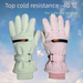 Professional Grade Ski Windproof Waterproof Outdoor Sports Riding Electric Car Winter Touch Screen Thickened Warm Gloves_desvips.com