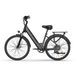 URLIFE E26 Urban Commuting Electric Bike 250W Motor 36V 13Ah Battery_desvips.com