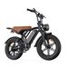 Toofly G20 All-Terrain E-Bike With 48V 15.6Ah Battery, 7-Speed Gear_desvips.com