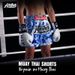 2025 New Multi-Color Muay Thai Boxing Competition Training Sanda Clothing Wholesale Shorts European Size Multiple Styles_desvips.com