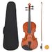 Violin Complete Set With Bow And Chin Rest Dark_desvips.com