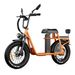 DrveTion ET20 Electric Scooter With 2 Seats And Rear Mirror_desvips.com