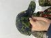 Outdoor Baseball Cap Danish Jungle Camouflage_desvips.com
