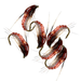 Trout Fishing Collection 32-112Pcs Flies Dry Wet Nymph Streamers Assortment With Box Flyfishing Fly Lures Kits_desvips.com