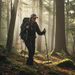 Fiber Trekking Carbon Ultra-Light Three-Section Telescopic Pole Men And Women Professional Outdoor Hiking Cane Climbing_desvips.com