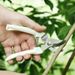 Stainless Steel Scissors Flower Cutting Flower Arrangement Pruning Fruit Tree Garden Branch Cutting Household Grafting Pruning_desvips.com