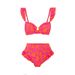 Push-up Bikini Sexy High-waisted Bikini Two-body Spa Bathing Suit_desvips.com