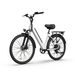 URLIFE E26 Urban Commuting Electric Bike 250W Motor 36V 13Ah Battery_desvips.com
