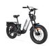 CYRUSHER Kommoda 3.0 20" Electric Cargo Bike 250W Motor 48V 20Ah Battery_desvips.com