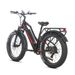 JOBOBIKE ROBIN PRO ST-F33 Electric Bike For Adults With 48V 17.5Ah Battery_desvips.com