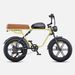 ENGWE M1 E-Mountain Bike 48V 250W Dual Suspensions Hydraulic Brakes 20"×4.0 Fat Tires Off-road Electric Bicycle_desvips.com