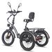 FAFREES F20 Mate Electric Tricycle 48V 23.45Ah Battery 500W 20 Inch Tires With Mirror And Rear Basket_desvips.com