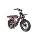 PIXAR M9 Full Suspension Electric Bike With 48V 35AH Dual Battery_desvips.com
