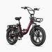 ENGWE L20 Boost E-Bike 250W Motore 48V 13Ah Batteria Rimovibile 20*4.0 Pollici Fat Tire Step-Thru Bici Elettrica Per Adulti_desvips.com