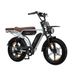 VELOPRO M9 Electric Bike,Dual Battery 48V 35Ah, Turn Signals_desvips.com