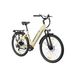 TTGO C3 SE City Electric Bike, 250W Motor 52Nm Torque, 36V 18AH Battery_desvips.com