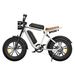 ENGWE M20 E-Mountain Bike 48V 750W Dual Suspensions 7-Speed 20"×4.0 Fat Tires Off-road Electric Bicycle_desvips.com