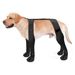 New Pet Supplies Outdoor Boots Dog Shoes Anti-Dirty Paw Protectors All-Season Universal Waterproof Non-Slip_desvips.com