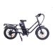 GOGOBEST GF200 20" Electric City Cargo Ebike 500W Motor 48V 15.6Ah Battery_desvips.com