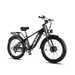 WILDEWAY Soared Max Dual Motor Electric Bike, 48V 30Ah Battery_desvips.com