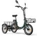 Niloxer KA1 Electric Cargo Tricycle With 48V 23Ah Battery And Rear Mirrors_desvips.com