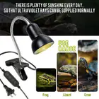 Reptile & Amphibian Supplies_desvips