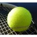 Tennis Training Ball For Beginners, Tennis Intermediate Training Ball For Dogs, Pet Tennis Massage Fitness Ball_desvips.com