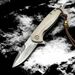 New Model Damascus Folding With Buffalo Bone Handle Pocket Outdoor Portable Survival Fruit Knife_desvips.com
