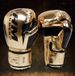 Muay Thai Free Fighting Boxing Anti-Tear PU Competition Fighting Gloves_desvips.com