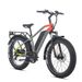 JOBOBIKE Kelper-E42 Adult Electric Bike With 48V 20Ah LG Battery_desvips.com