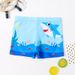 Boys' Cartoon Swim Trunks Medium And Large Children's Swimming Suits For Toddlers Suitable For Outerwear_desvips.com