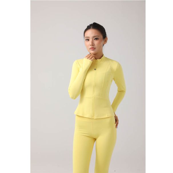Women's Fitness Set Stand-Up Collar Long-Sleeve Yoga Top High-Waisted Leggings Running & Fitness Set_desvips.com