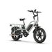 JOBOBIKE Transer Electric Cargo Bike For Family, Dual Battery LG 48V 15Ah 1440Wh_desvips.com