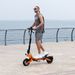 RCB D7 10" Foldable Electric Scooter, E Scooter,48V 20.8Ah Battery, App-Controlled E-Scooter, CE Certified Wholesale EU & UK_desvips.com